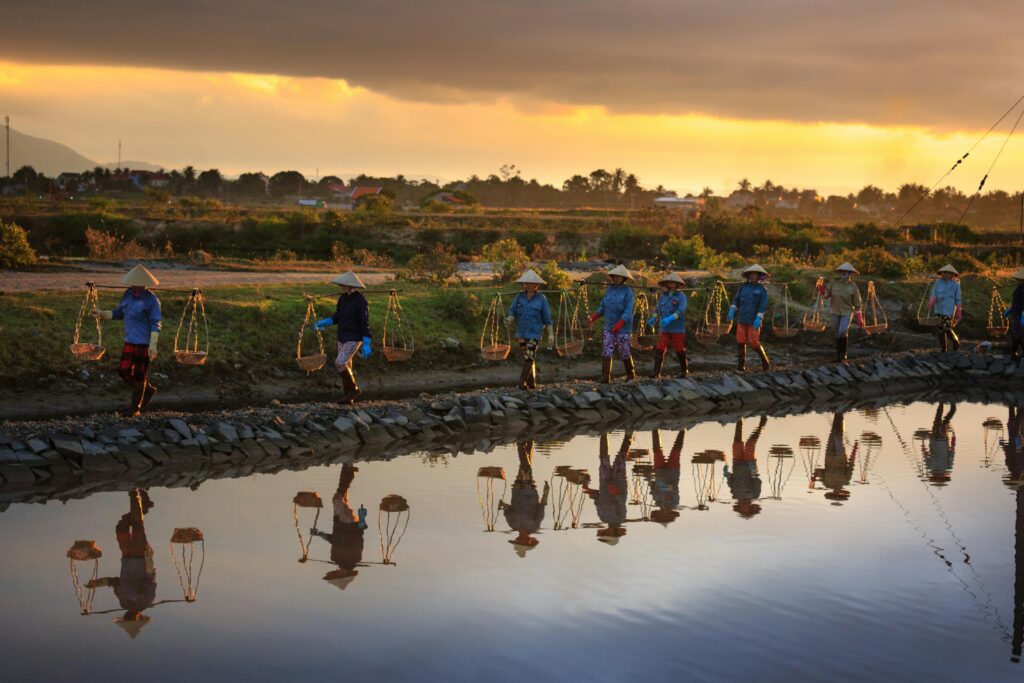 taiwanese indigenous languages asian people walking in rice field
